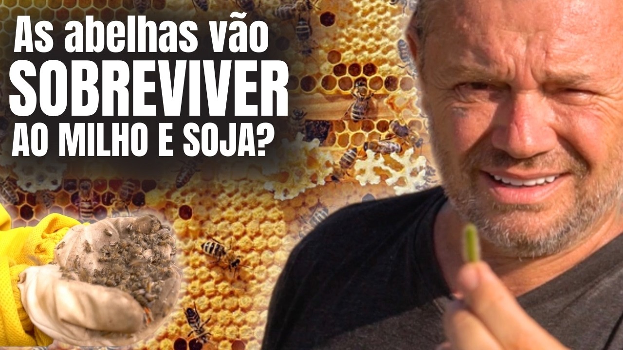 ABELHAS VS AGRONEGÓCIO: ELAS PODEM SOBREVIVER?