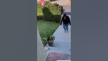 Woman Steals Amazon Package from Doorstep – Caught on CCTV!