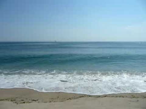 LeCount's Hollow Beach, Wellfleet, Mass.