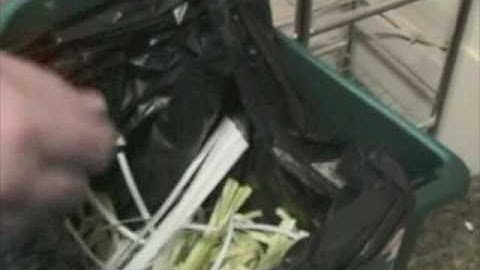 Video Modeling / Prompting -- Changing Garbage