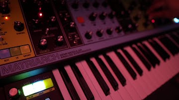 Moog Matriarch Arpeggio and Delay