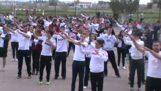 2013-FLHASMOB-ITACA