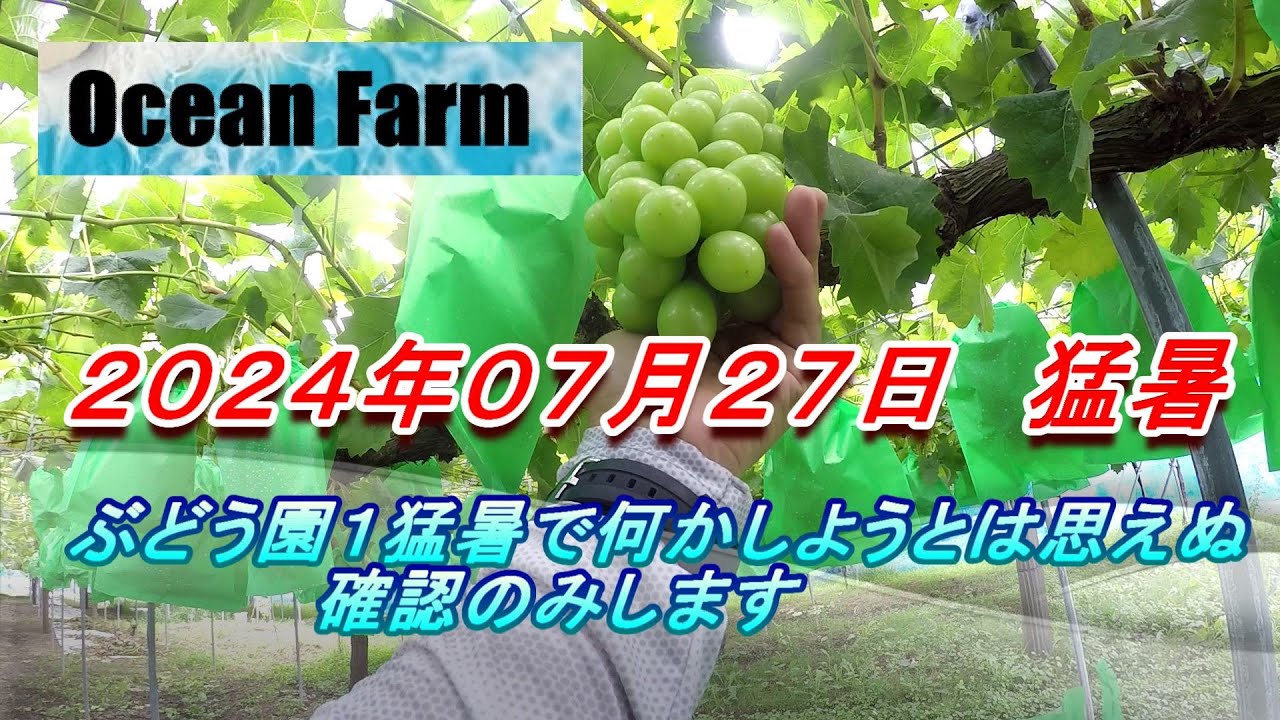 ひろちゃんです♡ ひろ君です - Twitch