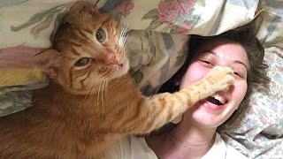 Super FUNNY CAT And THEIR OWNER VIDEOS! Watch and DIE FROM LAUGHING