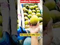 5 জুন 2025সাতক্ষীরার হিমসাগর আম লখনা আম পাইকারি বিক্রি হচ্ছে#shorts #fruit