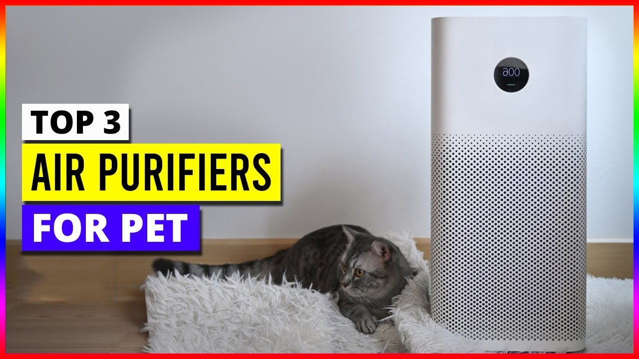 Best Air Purifiers For Pets in 2026 - YouTube