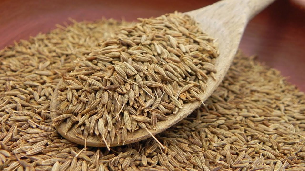 Семена укропа отзывы применения. Семена тмина и фенхеля. Фенхель тмин. Cumin Seeds тмин. Семена тмина семена укропа.