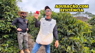 Adubação correta para uma lavoura de café mais produtiva