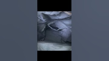 Túi đựng hộp cơm trưa Xanh Navy hoạ tiết Mèo Trắng dày dặn, năng động và tiện lợi