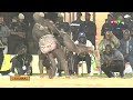 Balla gaye terrasse Modou Lô Le combat RTS