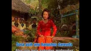 Daun pulus 17