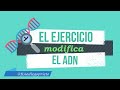 El ejercicio puede cambiar el ADN 🧬 ¡Genes relacionados con cáncer y diabetes!