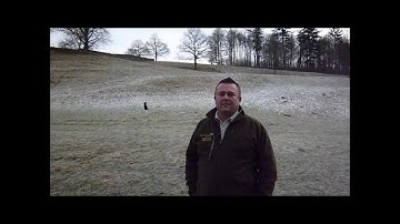 Gun dog training Memory retrieve