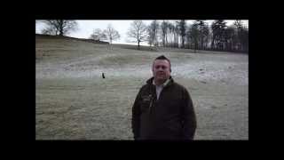 Gun dog training Memory retrieve