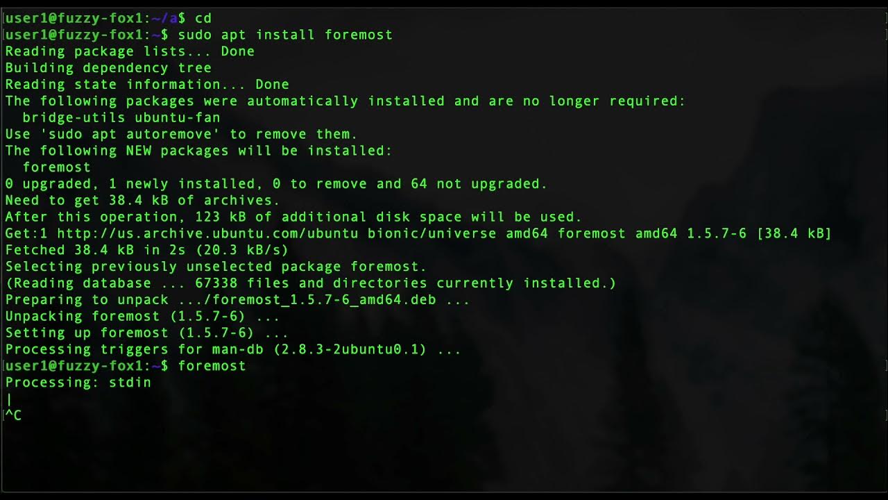 Foremost Data Recovery Ubuntu Install Test / Fail YouTube