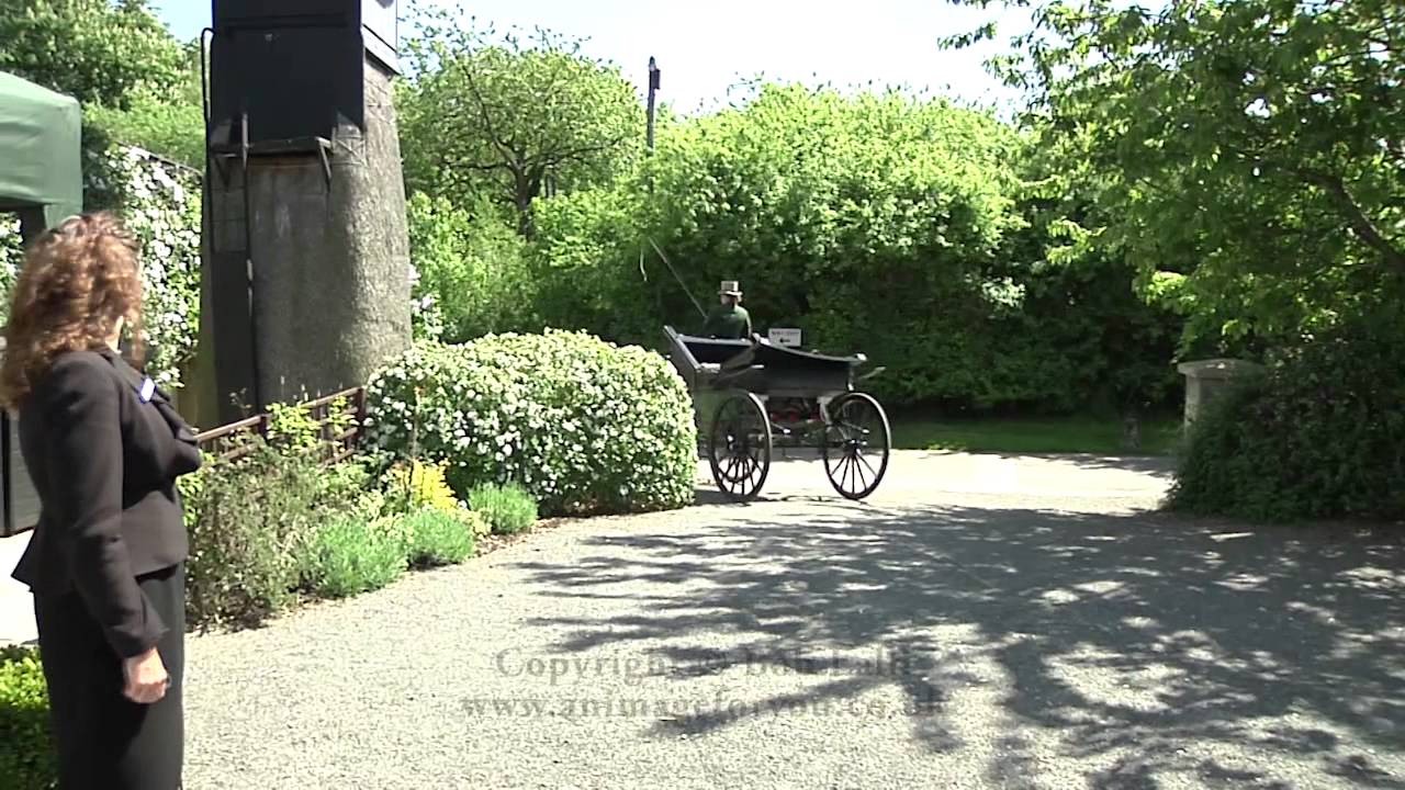 wedding photography starting from £375 Wedding Horse & Carriage