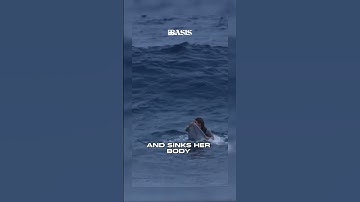 Surf tips: The cork takeoff surfing technique with Leah Dawson