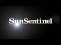 South Florida's iguana population thrives, officials consider methods of management