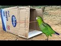 Trampa para pájaros fácil : Construyendo fantástica trampa para pájaros, hecha de caja de papel.