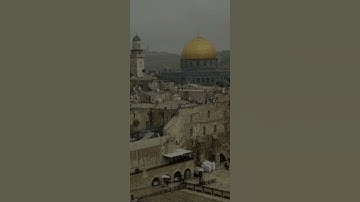 سورة الحشر: القارئ محمد جبريل