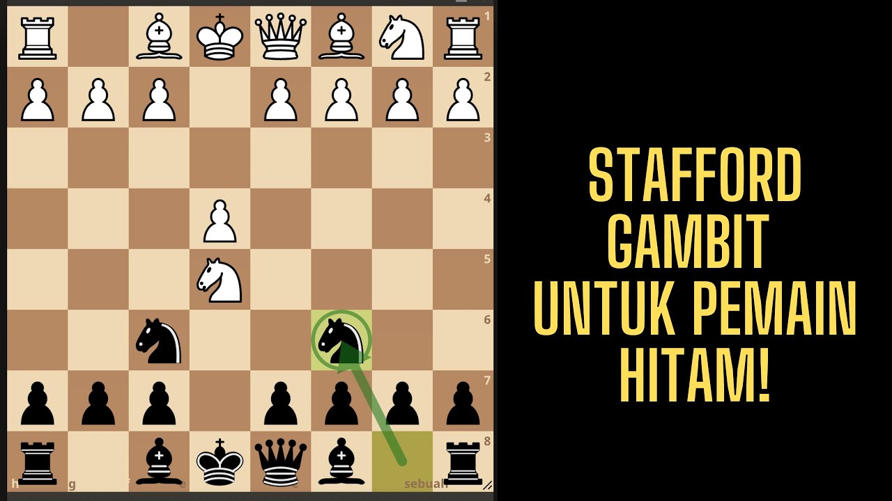 STAFFORD GAMBIT! PEMBUKAAN CATUR MEMATIKAN UNTUK PEMAIN HITAM! RATING AUTO NAIK!