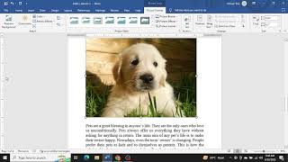 Creating a Word Document | MS Word | Tutorial for Beginners | Part 2 #msoffice #microsoftword