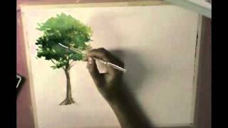 watercolor painting tree basic trees paint