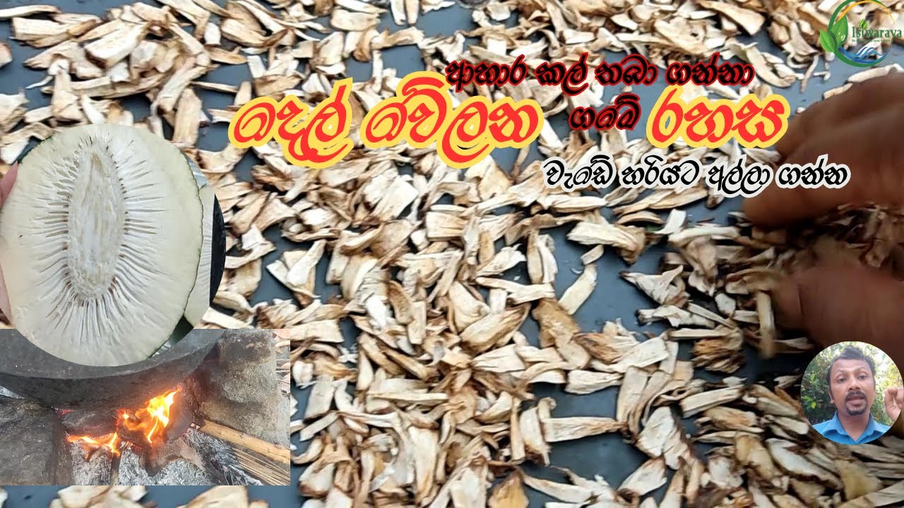 දෙල් වේලන රහස