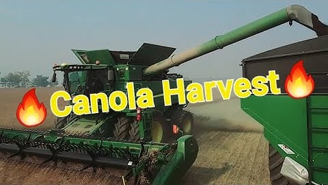 POV: Grain farming, John deere s680 into Brent 2096 grain cart!! #video #farming