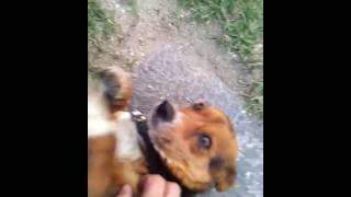 Download Video 2012 05 25 19 05 29 Video MP3 Video 2012 05 25 19 05 29