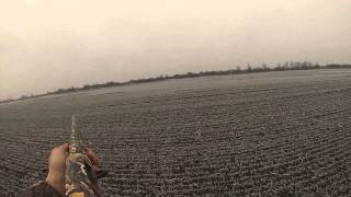 Caccia Alle Oche In Ungheria