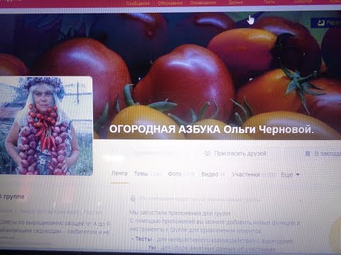 ОСТЕРЕГАЙТЕСЬ ПОДДЕЛОК! НЕ ВСЕ СТАТЬИ - МОИ. Ольга Чернова.