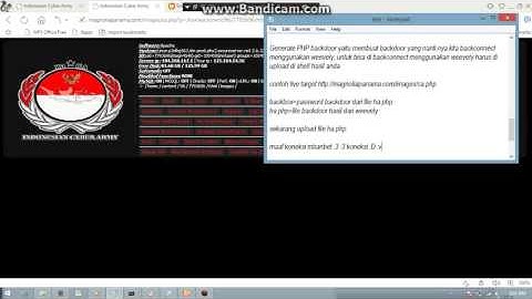 Tutorial Backconnect in Windows 2016