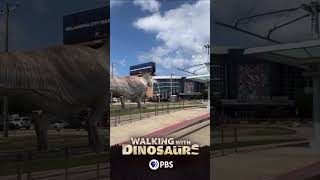 Roaring for history! Let's finish this! @okcthunder 🏆 🦖⚡️🦬 #ThunderUp #NBAFinals #Game6