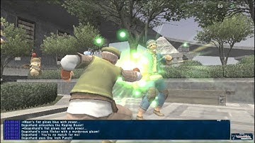 FFXI Limit Break 85