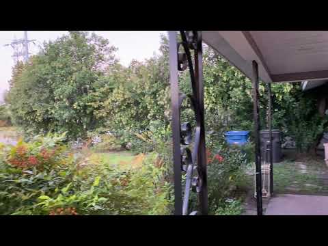768 Edgebrook Lane, San Antonio, TX home video tour