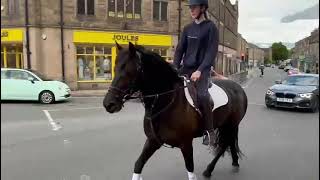 Advert reference - 376091