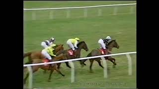 1992 Rendelsham Hurdle