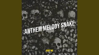 Anthem Melody Snake
