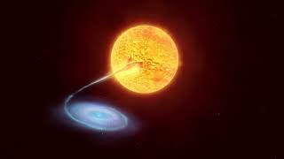 Celebrity Artist's animation of a binary with a white dwarf Net Worth