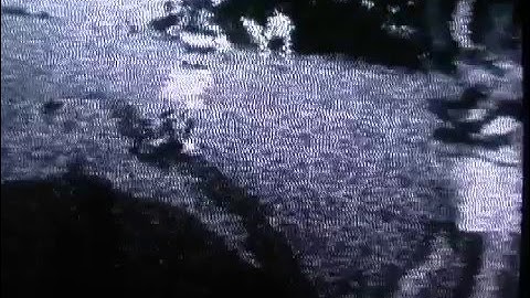 The Knife - Heartbeats (Official Video)