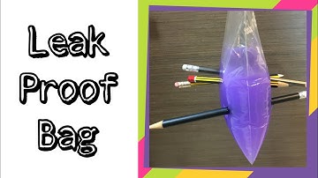 Easy DIY Leak Proof Bag Science Experiment | Leak Proof Bag
