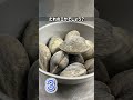 【クイズ】このエサ、誰のエサ??@しながわ水族館