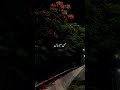 mann meriya new romantic song lyrics video 🥰🥰💖💖❣️❣️🥰💝❣️🥰❣️🥰❣️💖❣️❣️🥰❣️