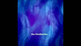 The Blueberries - International Shoegaze Dream Pop Fuzz Rock - 2016