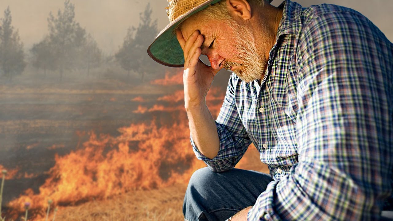 Mehmet Bey, hep benim tarlam yanıyor skrm