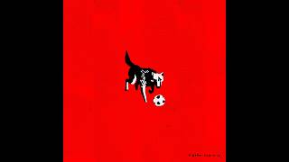 PLPL - Diego Bianchi