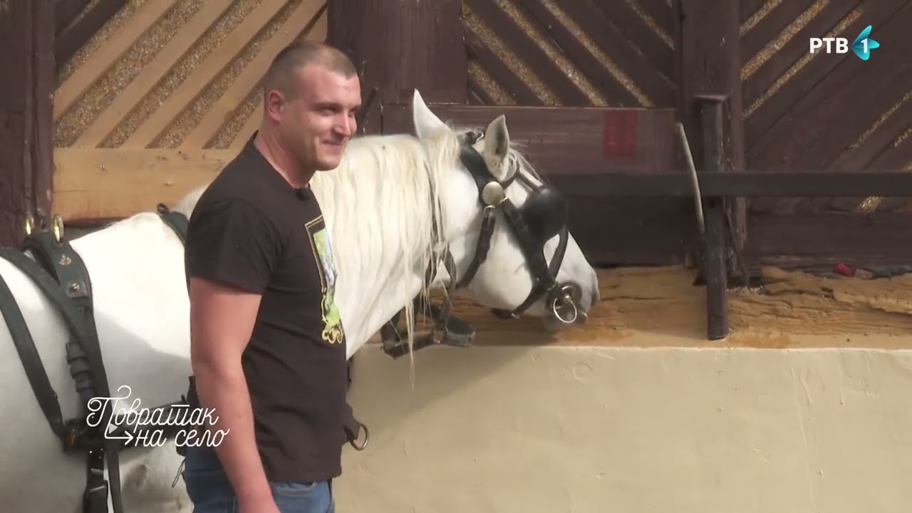 Balta | POVRATAK NA SELO