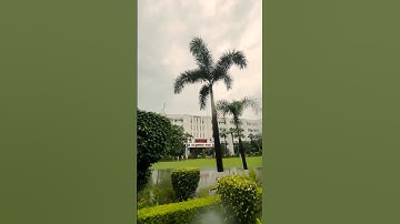 CGC University in Rain 🌧️❤️ #cgcuniversity #cgcmohali #cgcuniversitymohali