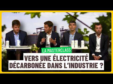 How to secure a carbon-free electricity supply for our industry?